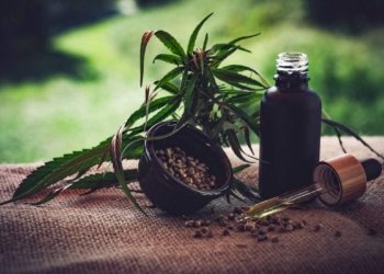 © CBD-Infos-com/ Pixabay