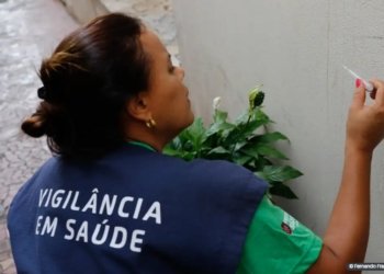 Estado de Sao Paulo tem sete mortes por dengue em 2024 O Jornal dos Capixabas!