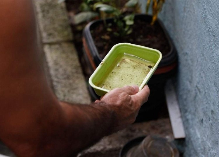 dengue:-brasil-tem-12-mortes-e-mais-de-120-mil-casos-provaveis