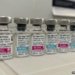 fabricante-dara-prioridade-da-vacina-contra-dengue-ao-sus