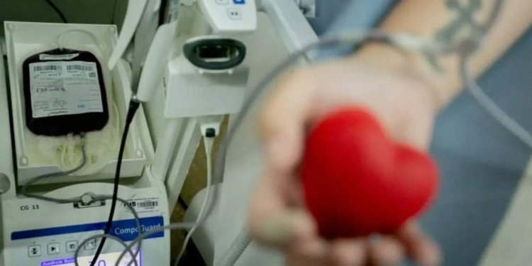 ministerio-da-saude-reforca-a-importancia-de-doar-sangue-antes-do-carnaval