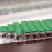 criancas-de-10-a-11-anos-serao-as-primeiras-a-vacinar-contra-dengue