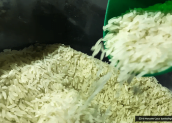 camex-zera-tarifa-de-importacao-para-garantir-abastecimento-de-arroz