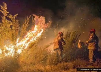 fogo-atinge-200-hectares-do-parque-nacional-do-itatiaia