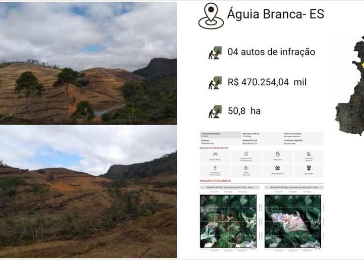 idaf-multa-infrator-em-r$-470-mil-por-desmatar-50-hectares-e-exige-reflorestamento-da-area