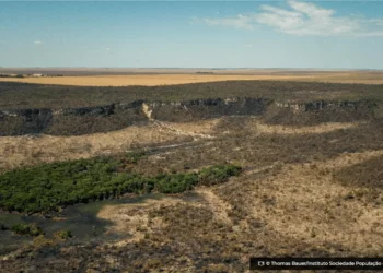 alertas-de-desmatamento-na-amazonia-caem-46%-em-um-ano