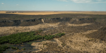 alertas-de-desmatamento-na-amazonia-caem-46%-em-um-ano