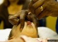 polio:-oms-vacinara-600-mil-criancas-com-menos-de-8-anos-em-gaza