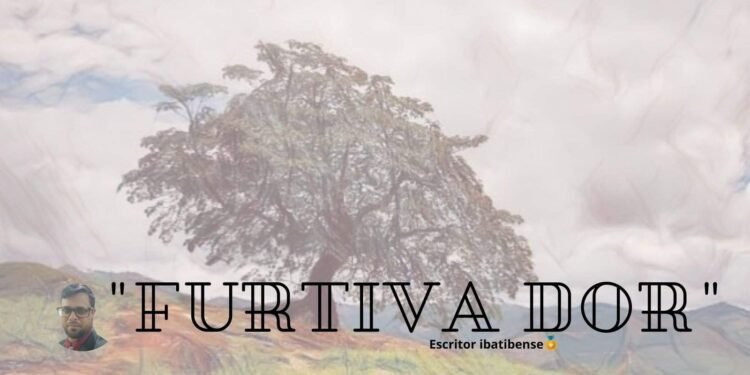 POESIA: “FURTIVA DOR”