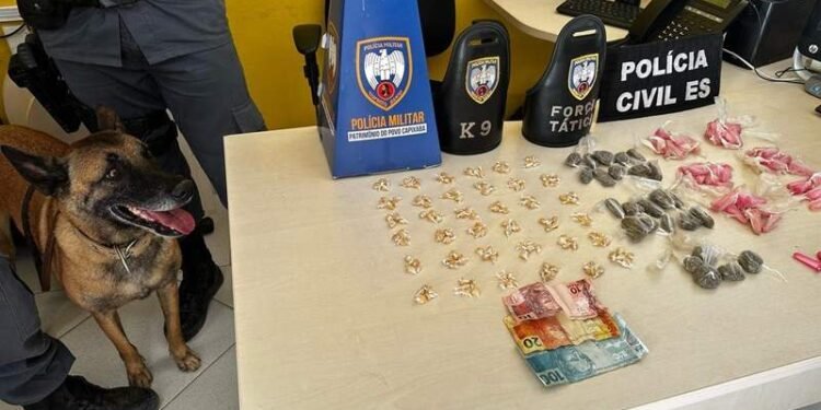 Homem é preso por tráfico de drogas na zona rural de Brejetuba