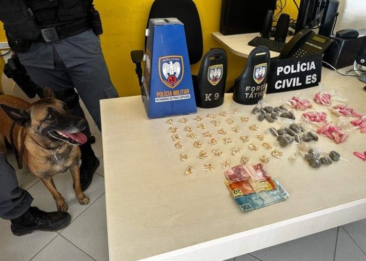 © Policia Civil do ES
