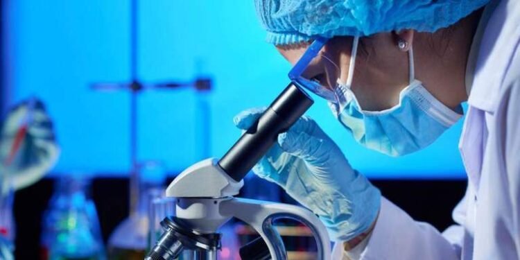 Mulheres já são maioria nas bolsas de mestrado e doutorado