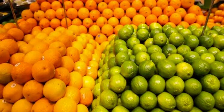 Índia abre o mercado para limão, laranja e tangerina brasileiros