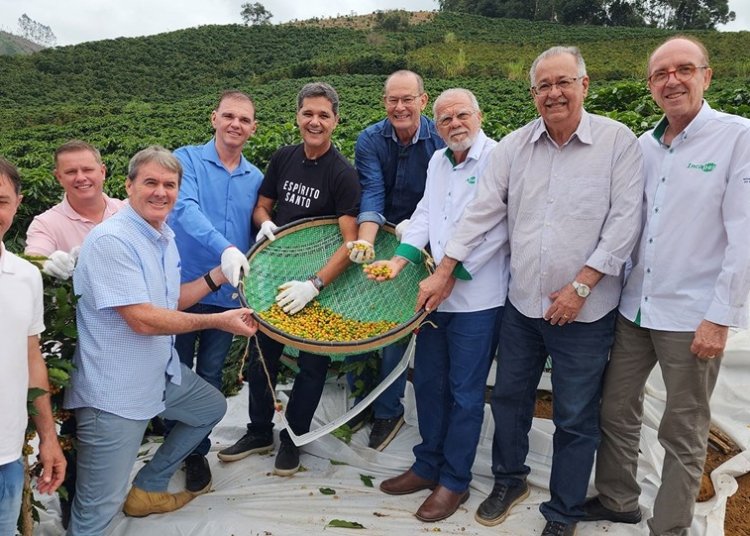 Inicio da Colheita de Café em Venda Nova Safra 2025 © Léo Júnior I Via Vice-Governadoria