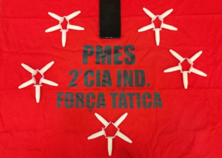 © Divulgação I Via PMES