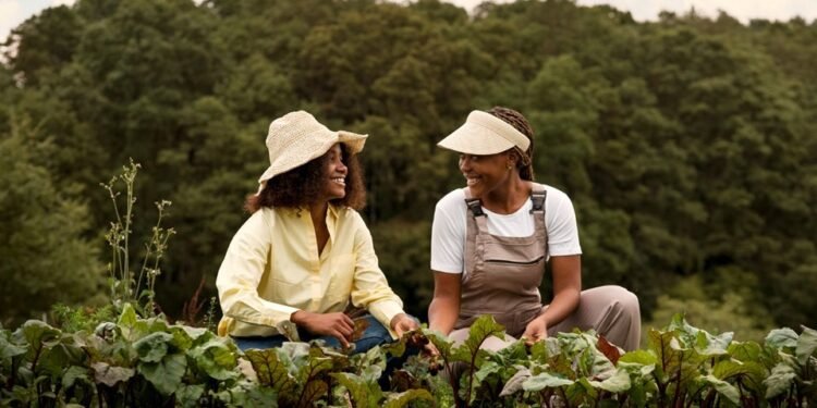 Espírito Santo bate recorde em crédito rural e projeta novas metas para 2025/2026