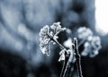 © Alexander Sinn I Via Unsplash