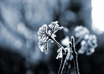 © Alexander Sinn I Via Unsplash