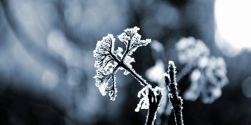 © Alexander Sinn I Via Unsplash