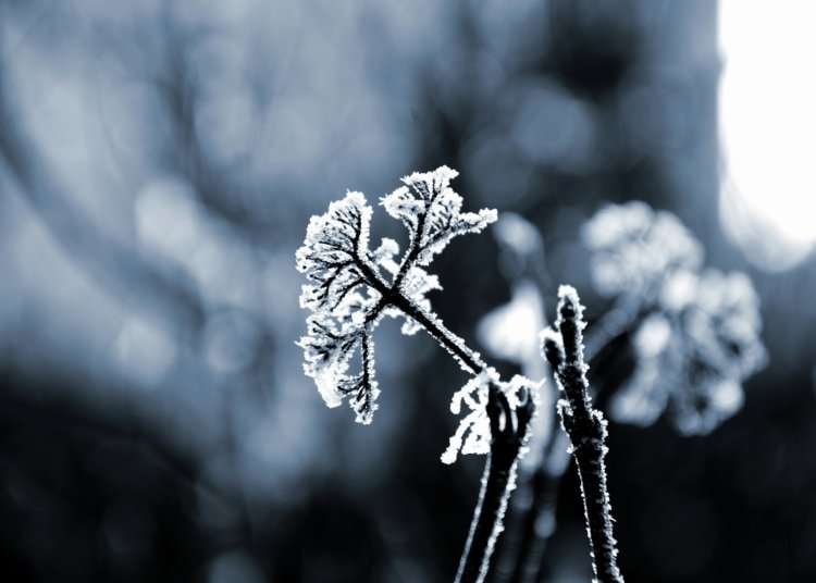 © Alexander Sinn I Via Unsplash