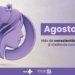 Violência contra a mulher: mais de 14 mil casos já foram notificados em 2024 no ES