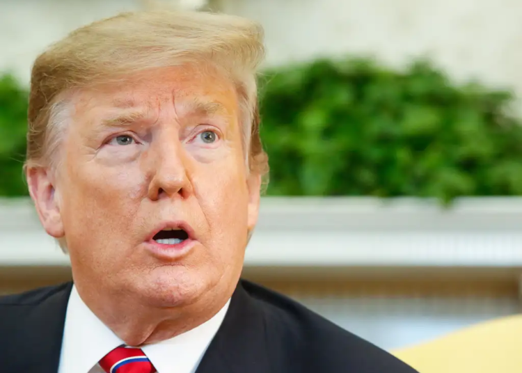 donald trump © isac nóbrega i via pr