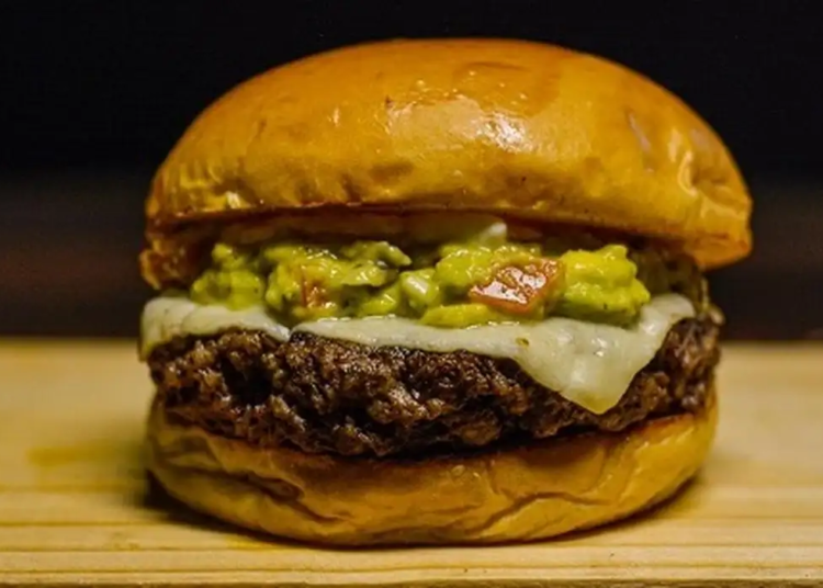 novo burger © divulgação embrapa