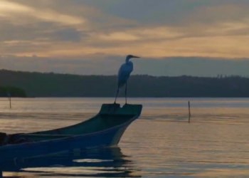 whatsapp image 2025 08 13 at 15.55.59 (1)