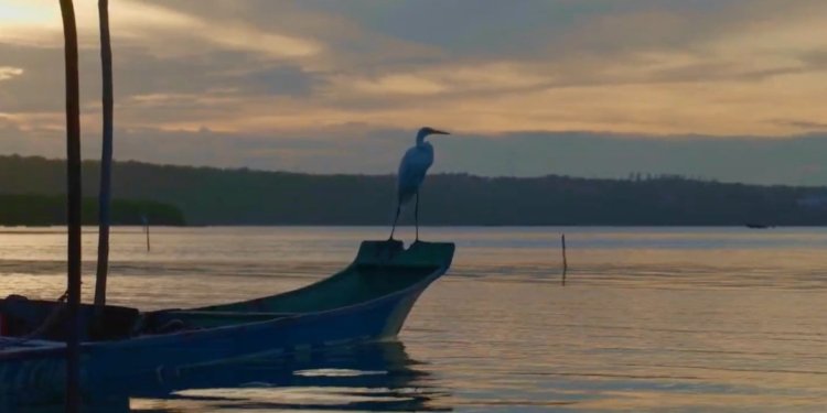 whatsapp image 2025 08 13 at 15.55.59 (1)