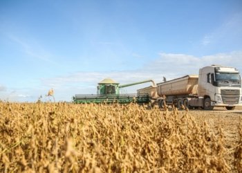 agro, safra, colheita, © melquizedeque i via pexels