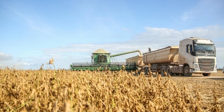 agro, safra, colheita, © melquizedeque i via pexels