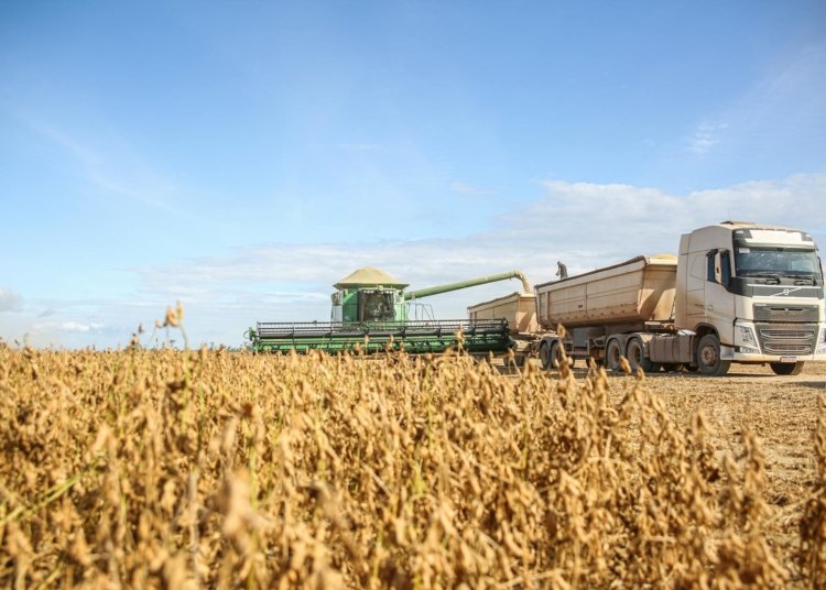 agro, safra, colheita, © melquizedeque i via pexels