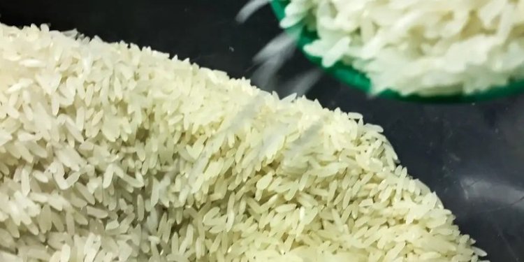 arroz marcello casal agência brasil