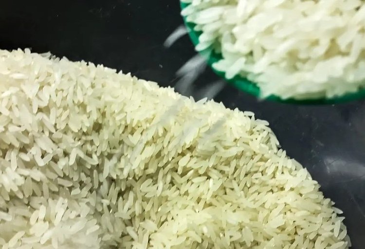 arroz marcello casal agência brasil