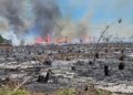 homem suspeito de causar incêndios de r$ 40 milhões é preso no espírito santo © divulgação i via pces