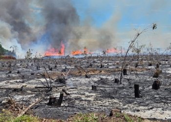 homem suspeito de causar incêndios de r$ 40 milhões é preso no espírito santo © divulgação i via pces