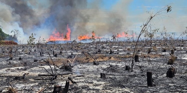 homem suspeito de causar incêndios de r$ 40 milhões é preso no espírito santo © divulgação i via pces