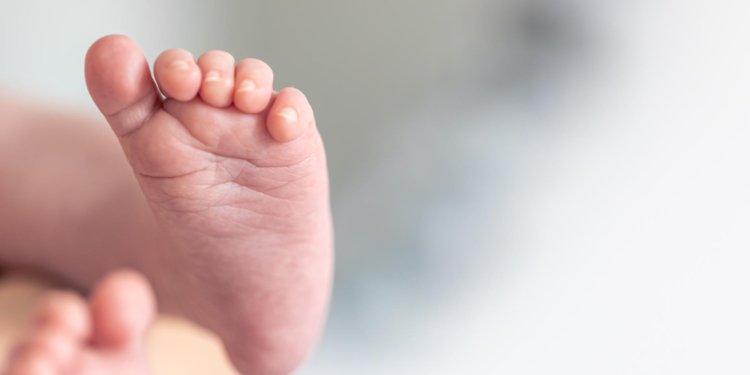 dedos de um tiro macro de bebê recém nascido © pvproductions