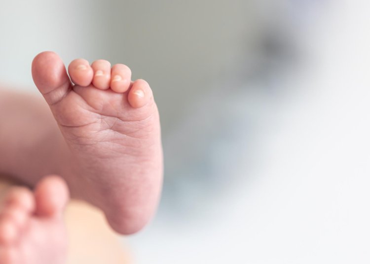 dedos de um tiro macro de bebê recém nascido © pvproductions