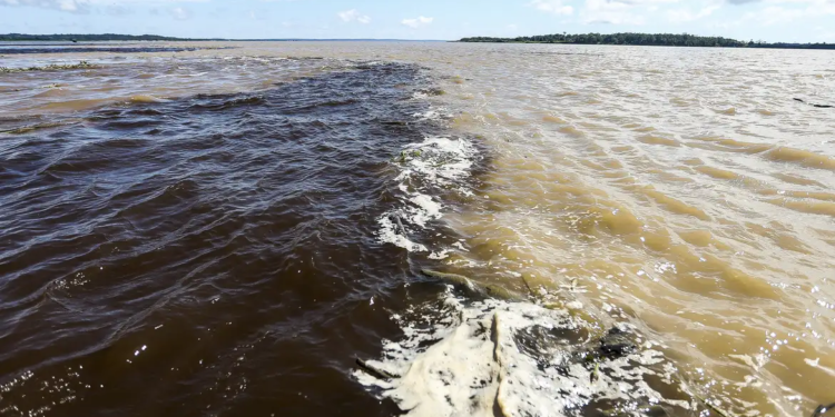 rio negro © marcelo camargo i via agência brasil