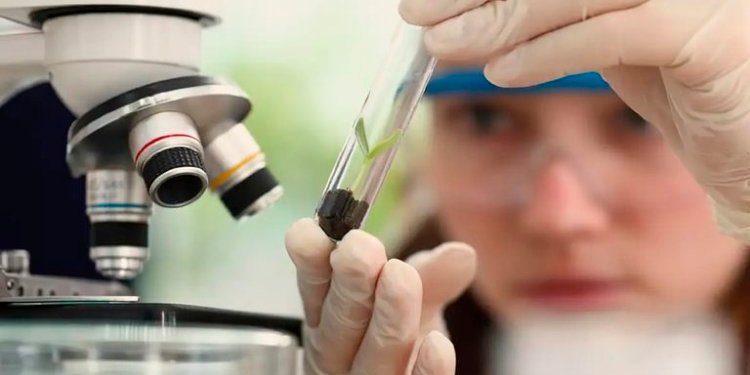 80% das meninas do programa Futuras Cientistas escolhem carreiras científicas após participar