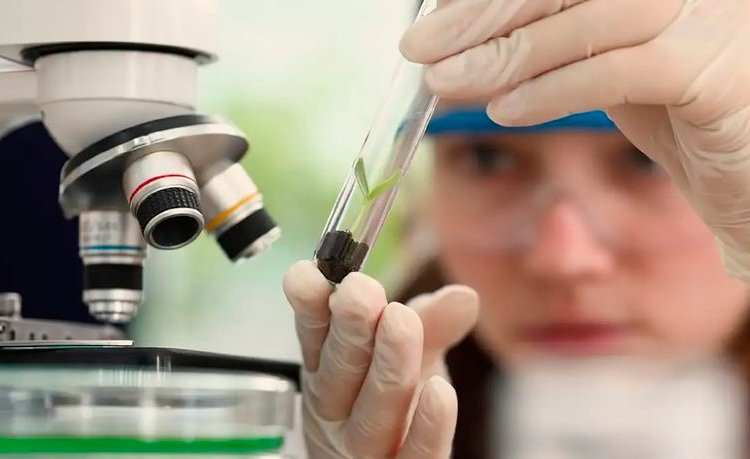 80% das meninas do programa Futuras Cientistas escolhem carreiras científicas após participar