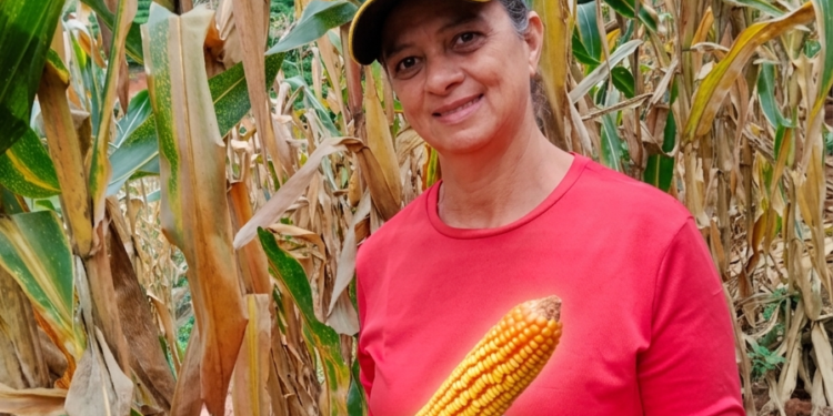 a agricultora iracema barros, de afonso cláudio, é uma das contempladas pela iniciativa do incaper. © incaper