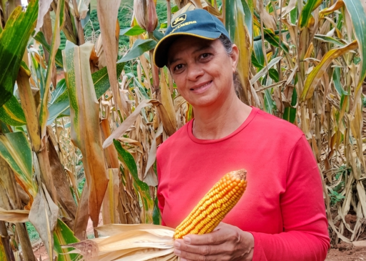 a agricultora iracema barros, de afonso cláudio, é uma das contempladas pela iniciativa do incaper. © incaper