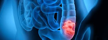 whatsapp image 2026 03 03 at 11.09.21