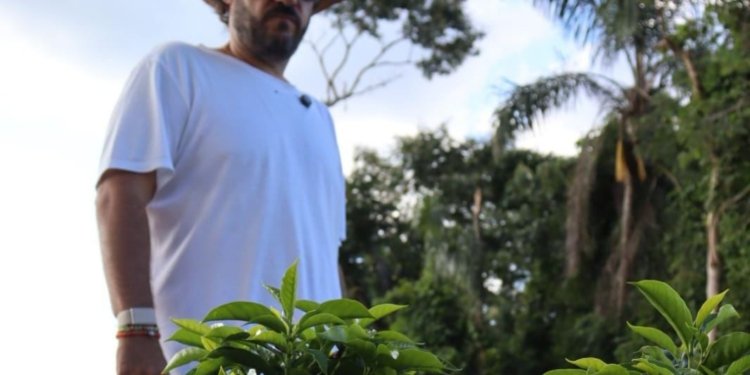 whatsapp image 2026 03 25 at 15.49.51