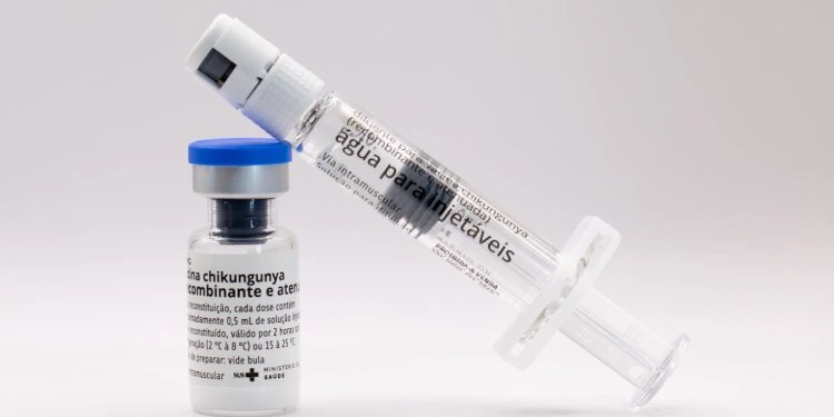 Dourados inicia vacinação contra chikungunya em meio a surto