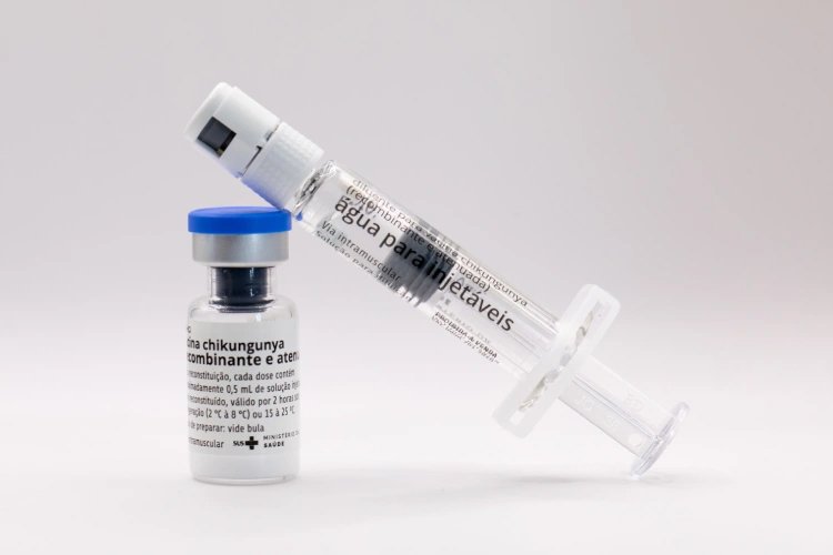 Dourados inicia vacinação contra chikungunya em meio a surto