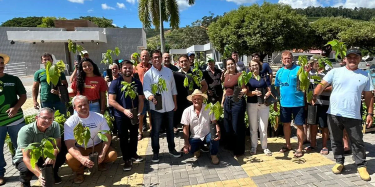 Marilândia aposta em cacau e goiaba para diversificar lavoura cafeeira
