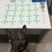 Polícia Militar recupera celular e tablet roubados em Guarapari